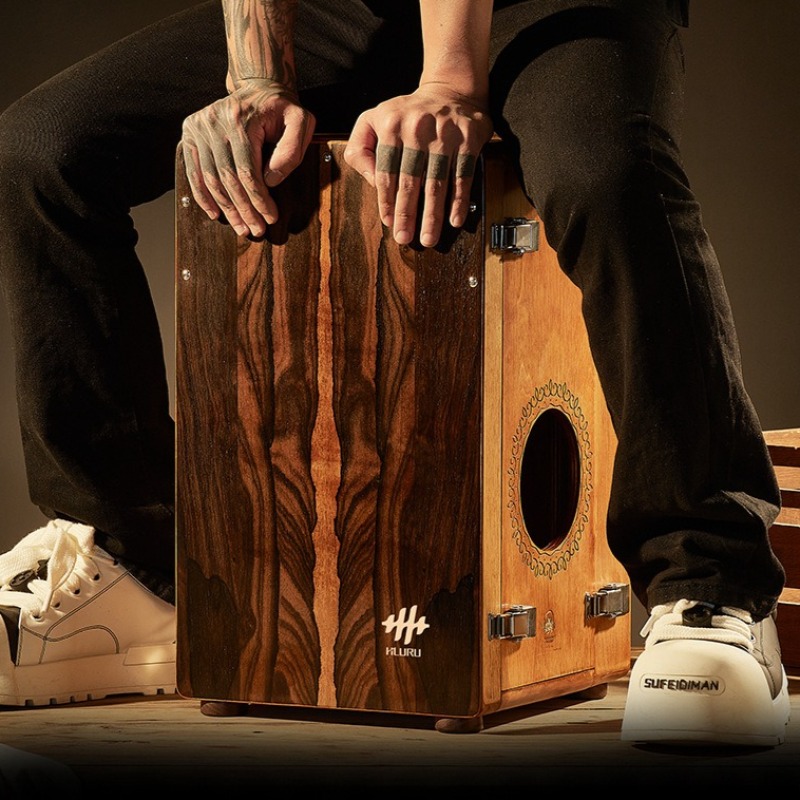 Houten Box Drum Professionele  - Diy Electronics Projects For Adults recensie en prijs