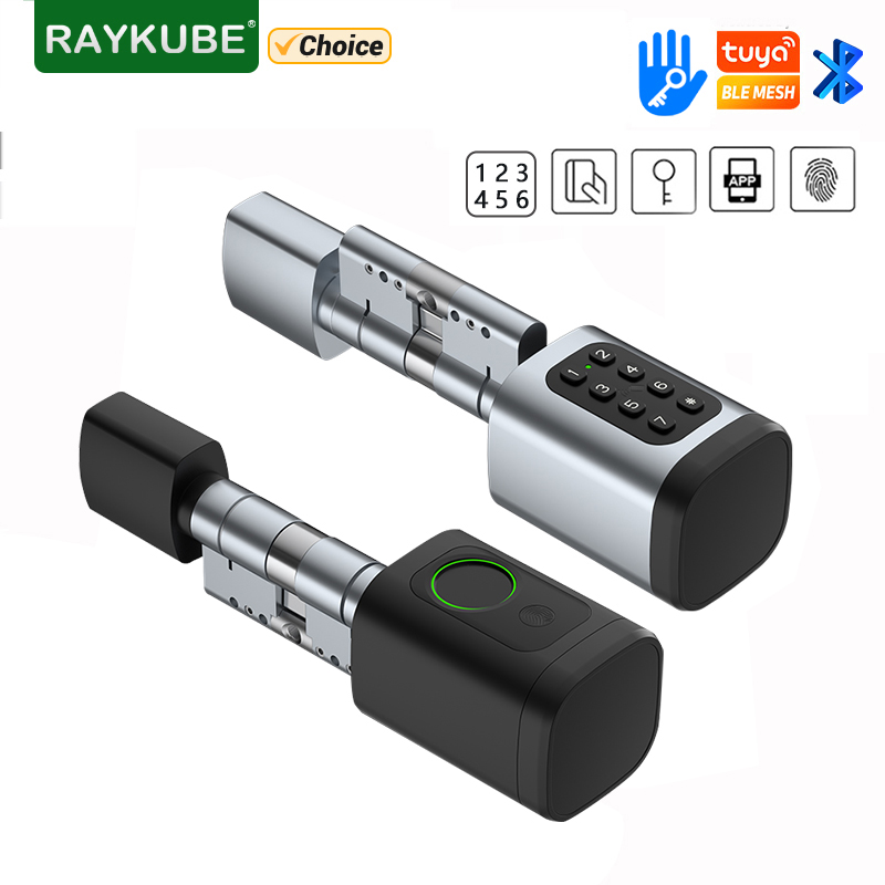 RAYKUBE V1 Tuya BLE TT Lock Sl - Diy Waterproof Electronics recensie en prijs