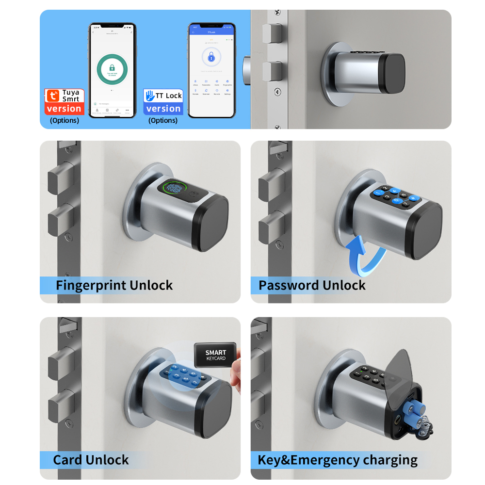 RAYKUBE V1 Tuya BLE TT Lock Sl - Diy Waterproof Electronics recensie en prijs