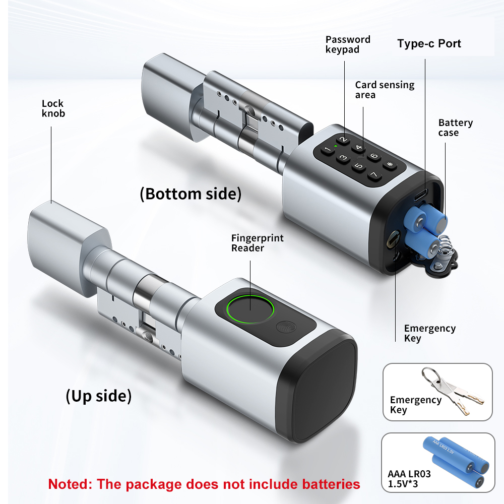 RAYKUBE V1 Tuya BLE TT Lock Sl - Diy Waterproof Electronics recensie en prijs